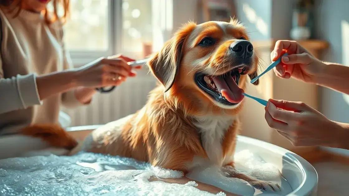 como manter a higiene do seu bichinho com baixo custo